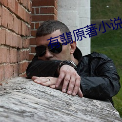 有翡原著小說