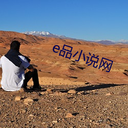 e品小说网