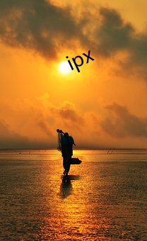 ipx