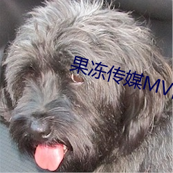 果冻(dòng)传(chuán)媒MV国(guó)产
