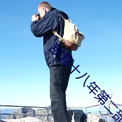 敵營十八年第二部