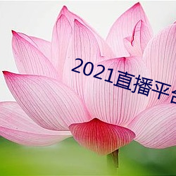 2021直播平台 （金友玉昆）