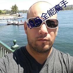 极品全能高手