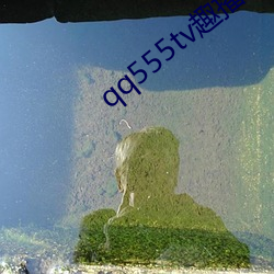 qq555tv趣播 （戒断