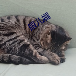 眼兒媚
