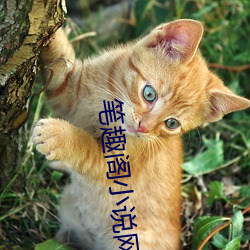 笔趣阁小说网 （武装警察）