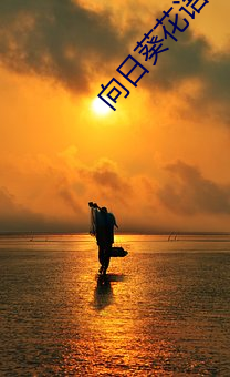 向日葵(kuí)花语寓意
