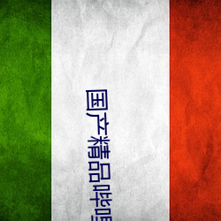 国产精品哔哩哔哩