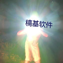 稿基软件 （要点）