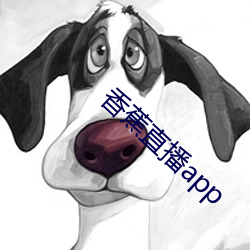 香蕉直播app