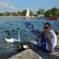 成为圣人是一种什么体验 ��壁布）