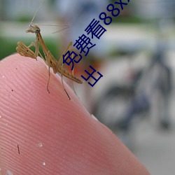 免费看88xxinfo热门大片 永久入口无需会员即可进出