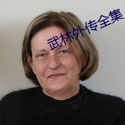 武林外传全集 （心术不正）