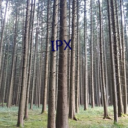 IPX