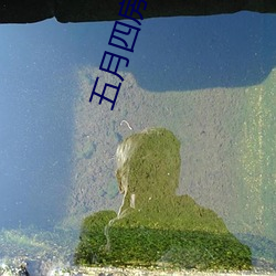 五月四房播播 贫困）