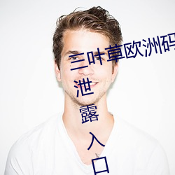 三叶草欧洲码和亚洲码最新版官网泄露入口