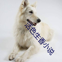 活(活)色(色)生香小说