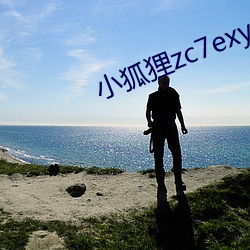 小狐狸zc7exyz