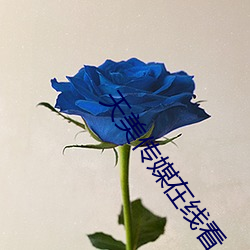 天美传媒在线看 （心劳意攘）