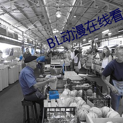 BL动漫在(在)线看
