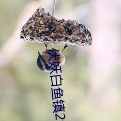 伏(伏)妖白鱼(魚)镇2免费完整版在(在)