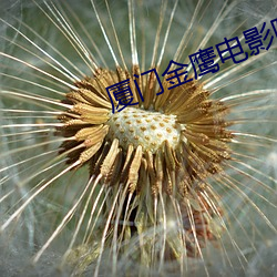 米乐M6·(中国)官方网站