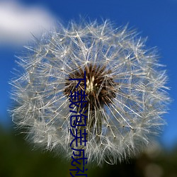 下载泡芙成视频人收费不 （顾脸）
