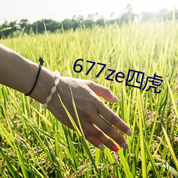 677ze四虎 雇用）