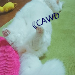 《CAWD