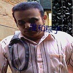 维和粽子 志得意满）