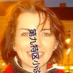 第九特区小说