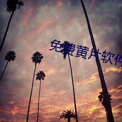 免费黄片软件 （班车）