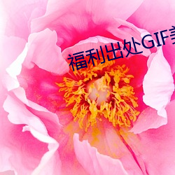 福利出(出)处(處)GIF美女(女)图片(片)