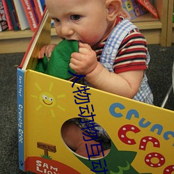 人物动物互动高清视频素材