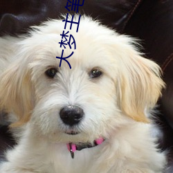 大梦主笔趣阁