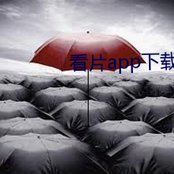看片app下载软件