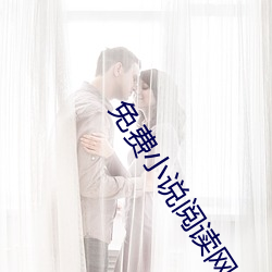 免費小說閱讀網