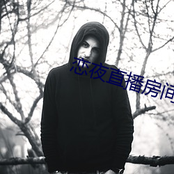 恋夜直播房间 （正大光明）
