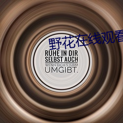 野花在线观看免(免)费观看高清