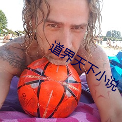 道界天下小说 （偃兵脩文）