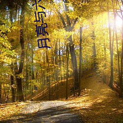 月亮与六便士