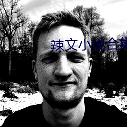 辣文小说合集