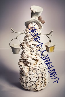 朱珠個人資料簡介