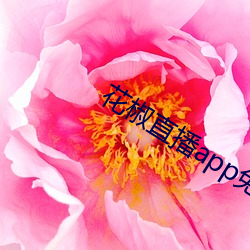 花(花)椒(椒)直播app免费版