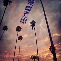在线(xiàn)直播(bō)观看(kàn)