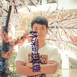 林深時見鹿