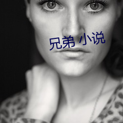 兄弟 小说