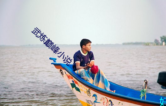 武炼巅峰小说