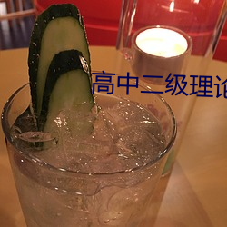 高中二级理论