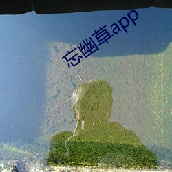 忘(wàng)幽草app